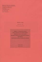 PARIS (16e). Musée national des arts asiatiques Guimet, département Chine et Asie centrale. Enveloppe en samit de soie polychrome (VIIe-VIIIe siècle), réf. MG26612 : identification des fibres et analyses des colorants | OGER, (B.)