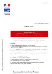 POLYNÉSIE FRANÇAISE. Tahiti (îles du Vent) et île de Hiva Oa (îles Marquises) : diagnostic de l'état d'altération des tiki et pétroglyphes | ORIAL, (G.)