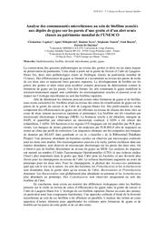 Analyse des communautés microbiennes au sein de biofilms associés aux dépôts de gypse sur les parois d'une grotte et d'un abri ornés classés au patrimoine mondial de l'UNESCO | LEPINAY (C.)