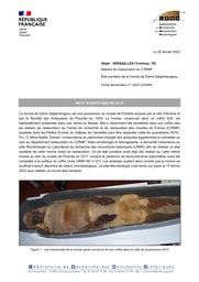 VERSAILLES (Yvelines, 78). Ateliers de restauration du C2RMF. État sanitaire de la momie de Dame Setjaimengaou | LEPLAT, (J.)