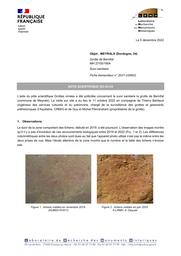MEYRALS (Dordogne, 24). Grotte de Bernifal. Suivi sanitaire | TOURON, (S.)