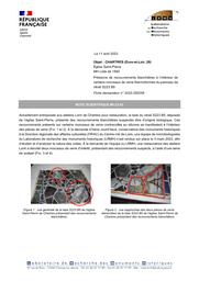 CHARTRES (Eure-et-Loir, 28). Église Saint-Pierre. Présence de recouvrements blanchâtres à l’intérieur de certains morceaux de verre thermoformés du panneau de vitrail S223 B5 | FRANÇOIS, (A.)