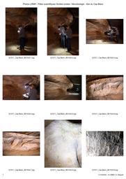 CST - Pôles scientifiques Grottes ornées et Microbiologie - Abri du Cap-Blanc | DEQUIER (A.)