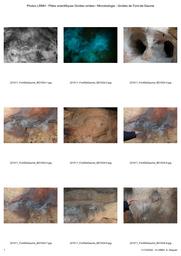 CST - Pôles scientifiques Grottes ornées et Microbiologie - Grotte de Font-de-Gaume | DEQUIER, (A.)