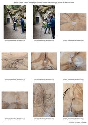 CST - Pôles scientifiques Grottes ornées et Microbiologie - Grotte de Pair-non-Pair | DEQUIER (A.)