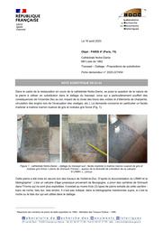PARIS 4e (Paris, 75). Cathédrale Notre-Dame, dallage du transept. Propositions de substitution | LEROUX, (L.)