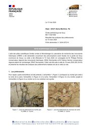 GOUY (Seine-Maritime, 76). Grotte préhistorique de Gouy. Résultats des analyses des prélèvements du 15 mars 2024 | TOURON, (S.)